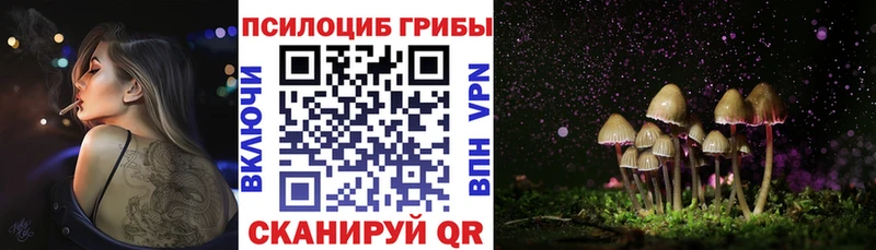 Галлюциногенные грибы мицелий  hydra как зайти  Старая Купавна 
